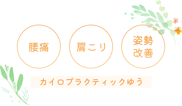 腰痛 肩こり 姿勢改善 カイロプラクティックゆう